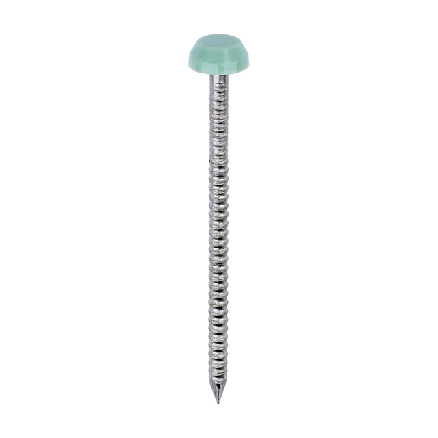 This is an image of Timco - Polymer Headed Pins - A4 Stainless Steel - Chartwell Green 40mm (250 PCS Box) PP40CG
