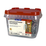This is an image of Timco - Presser Point Staples - Galvanised 40 x 4.00mm (2.5 Kg TIMtub) PPS40T
