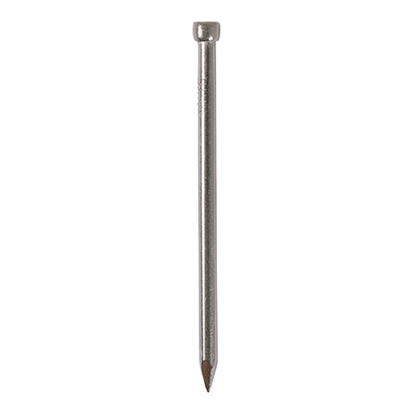 This is an image of Timco - Round Lost Head Nails - Stainless Steel 50 x 2.65mm (10 Kg Carton) SSLH50