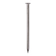 This is an image of Timco - Round Wire Nails - Stainless Steel 125 x 5.60mm (1 Kg TIMbag) SSRW125B