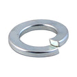 This is an image of Timco - Spring Washers - Zinc M8 - (20 PCS TIMpac) WSP8ZP