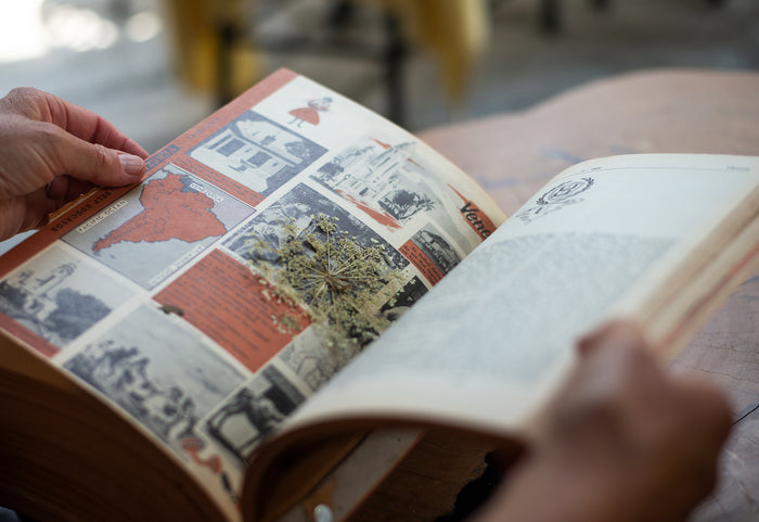 This is an image of someone holding an open book